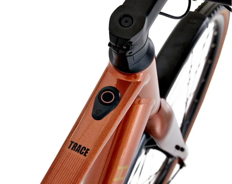 Raleigh Trace Electric Bike in Bronze -2